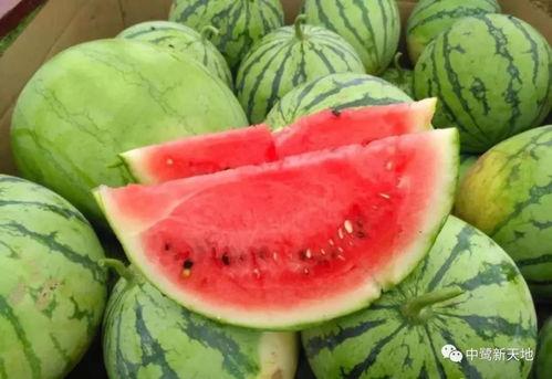 娱乐园吃瓜,揭秘明星幕后故事