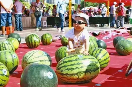 每日吃瓜大赛入口