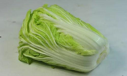 娱乐吃瓜姐白菜