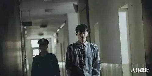 娱乐吃瓜007,娱乐吃瓜界的风云人物