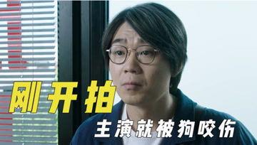 娱乐吃瓜君163,揭秘娱乐圈最新热点事件